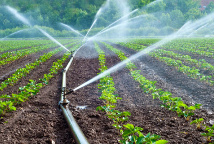 Methods of Watering Crops : पिकांना पाणी देण्याच्या पद्धती