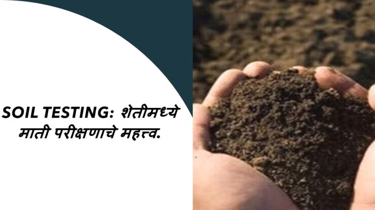 Soil Testing: शेतीमध्ये माती परीक्षणाचे महत्त्व