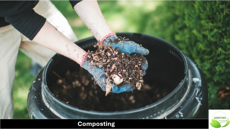 Composting: तंत्र, फायदे, तोटे आणि तयार करण्याच्या टिप्स